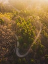 Aerial view over mountain road inside forest during sunrise Royalty Free Stock Photo