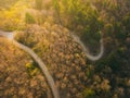 Aerial view over mountain road inside forest during sunrise