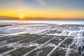 Aerial view over salt marsh plains Wadden Sea Royalty Free Stock Photo