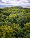 Aerial view over the trees in the forest with a view of the Baltic Sea on the horizon. RÃÂ¼gen