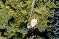 Aerial view of the overgrown Lake Eske view point in Donegal, Ireland. Royalty Free Stock Photo