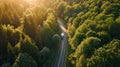 Aerial view of Overtaking trucks on an asphalt road in green forrest at sunset, Transportation concept