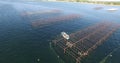 Aerial view of an oyster field in the south of France