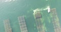 Aerial view of an oyster field in the south of France