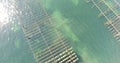 Aerial view of an oyster field in the south of France