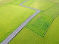 Aerial View of Paddy Field from Dongshan Township, Yilan, Taiwan.