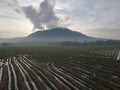 Aerial view paddy field after harvested at Bukit Mertajam