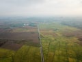 Aerial view paddy field