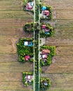 Aerial view of paddy field after ploughed.