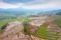 Aerial view of paddy field and valley Royalty Free Stock Photo