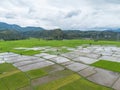 Aerial view of paddy rice field, Riau, Sumatra, Indonesia