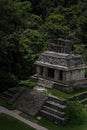 Aerial view of Palenque temple in dense greenery