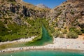 Aerial view of a palm forest and river leading to a clear blue ocean Preveli, Crete, Greece Royalty Free Stock Photo