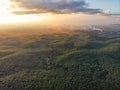 Aerial view of palm oil plantation