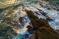 Aerial view of palm trees and Indian Oken coastline during sunrise. Island Sri Lanka.