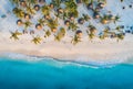 Aerial view of palms on the sandy beach of Indian Ocean at sunset Royalty Free Stock Photo