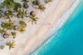 Aerial view of palms on the sandy beach of Indian Ocean at sunset Royalty Free Stock Photo