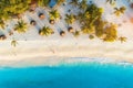 Aerial view of palms on the sandy beach of Indian Ocean at sunset Royalty Free Stock Photo