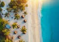 Aerial view of palms on the sandy beach of Indian Ocean at sunset Royalty Free Stock Photo