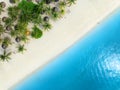 Aerial view of palms, umbrellas on empty sandy beach, blue sea Royalty Free Stock Photo