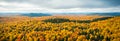 Aerial view panorama of trees in colorful autumn season forest. Calm outdoor scene. Beauty of nature concept background. Aerial Royalty Free Stock Photo