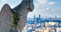 Aerial view of Paris City from the top of Notre Dame Cathedral w Royalty Free Stock Photo