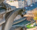 Aerial view of Paris City from the top of Notre Dame Cathedral w Royalty Free Stock Photo