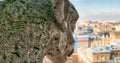 Aerial view of Paris City from the top of Notre Dame Cathedral w Royalty Free Stock Photo