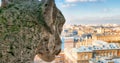 Aerial view of Paris City from the top of Notre Dame Cathedral w Royalty Free Stock Photo