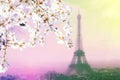 Aerial view of Paris cityscape with Eiffel tower at pink sunset . Vintage colored picture Royalty Free Stock Photo