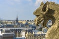 Aerial View of Paris from Notre-dame Royalty Free Stock Photo