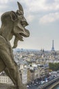 Aerial View of Paris from Notre-dame Royalty Free Stock Photo