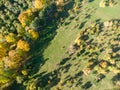 Aerial view of park during fall season Royalty Free Stock Photo