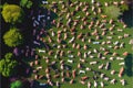 Aerial view of a park field packed with lots of pet dogs