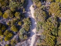 Aerial view of the path of customs officers, vegetation and Mediterranean bush, Corsica, France. Sentier du Douanier