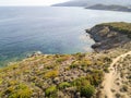 Aerial view of the path of customs officers, vegetation and Mediterranean bush, Corsica, France. Sentier du Douanier Royalty Free Stock Photo