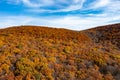 Peak Foliage - New Jersey Royalty Free Stock Photo