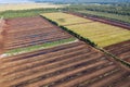 Aerial view of peat harvesting field. Peat extraction