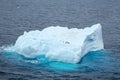 Aerial view of penguins on a large iceberg in the water in Antarctica