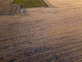 Aerial view of people strolling at sunset, in the middle of a field