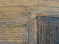 Aerial view of people strolling at sunset, in the middle of a field