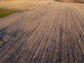 Aerial view of people strolling at sunset, in the middle of a field