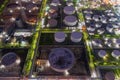 Aerial view of petrochemical oil refinery and sea in industrial engineering concept in Bangna district at night, Bangkok City,