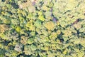Aerial view photography directly above lush rain forest trees at Malaysia. Untouched jungle, view of the tree tops. Habitat for Royalty Free Stock Photo