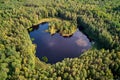 Aerial view of a picturesque lake in the depths of a green forest