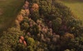 Aerial view of a piece of forest with lateral meadow areas