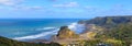 Aerial view of Piha Beach and Lion Rock, Auckland Region, New Zealand Royalty Free Stock Photo