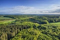 Aerial view of pine forests in Denmark on a cloudy day in summer. Landscape of cultivated green woods for wooden timber