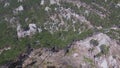 Aerial view of pine tree forest with mountain landscape. Shot. Aerial top view of green trees in forest. Wild Forest