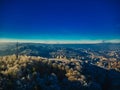 Aerial view of Pine trees forest on cold winter morning